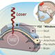 Illustration for article titled Transparent skull implant is the next step in body mods (and medicine)